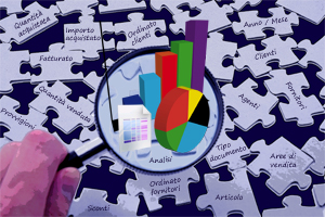 Business Analytics for Mago.Net
