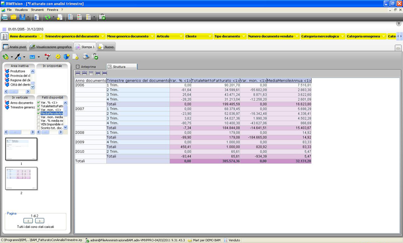 Software Business Intelligence - Report